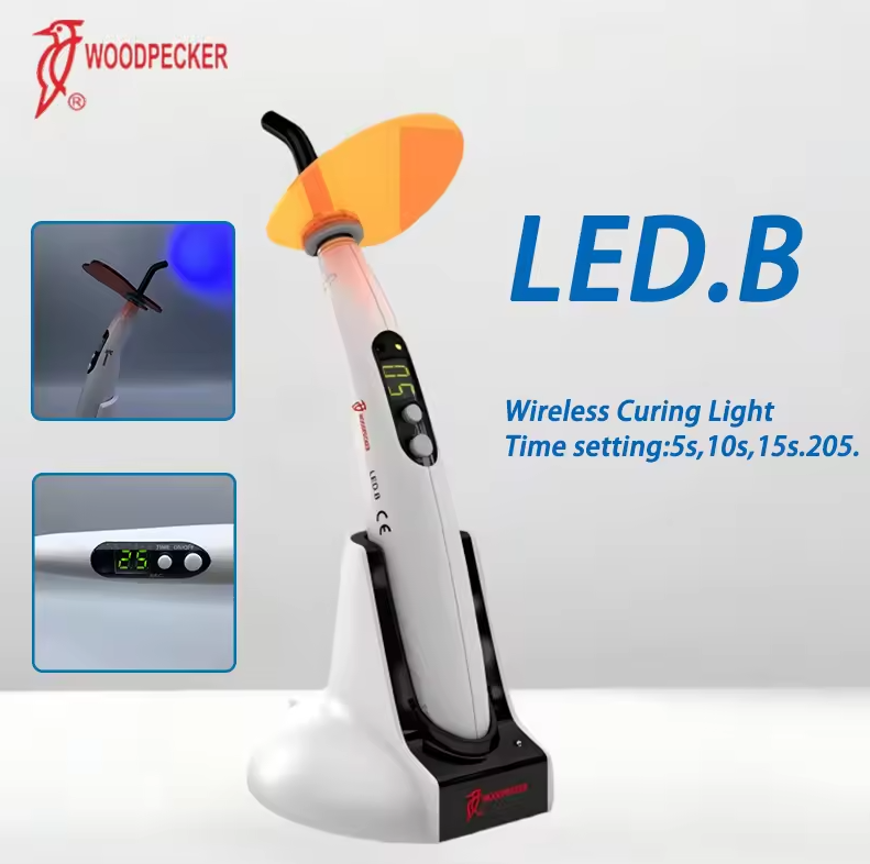 Luz de curado Dental pájaro ca - Teeth Whitening Led Kit reseña y precio